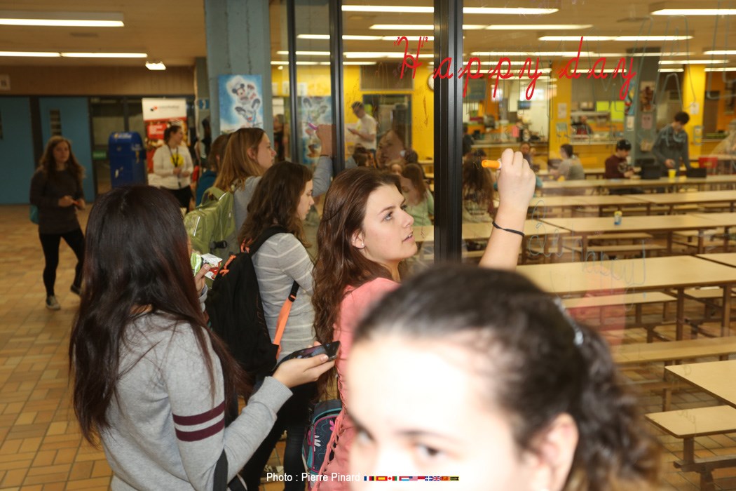Du Tournesol « Happy day »